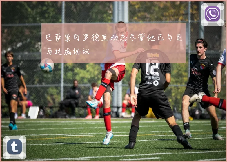 巴萨紧盯罗德里动态尽管他已与皇马达成协议