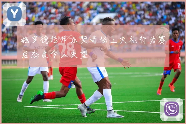 施罗德怒斥东契奇场上失礼行为赛后态度令人失望