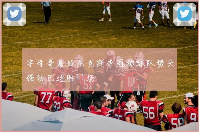 字母哥看好尼克斯夺冠称球队势头强劲已连胜11场